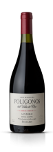 Polígonos San Pablo Cabernet Franc 2018 - ZUCCARDI