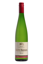 MUSCAT Tradition 2019 - BOTT FRÈRES - AOC ALSACE