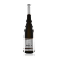 Vision 2017 - HOLDVOLGY TOKAJ