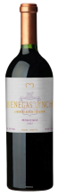 Benegas Lynch Cabernet Franc 2007 - BODEGA BENEGAS