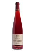 PINOT NOIR Tradition 2019 - BOTT FRÈRES - AOC ALSACE