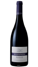 Pinot Noir 2016 - RIPPON