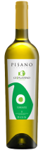 Cisplatino Torrontes 2019 - PISANO