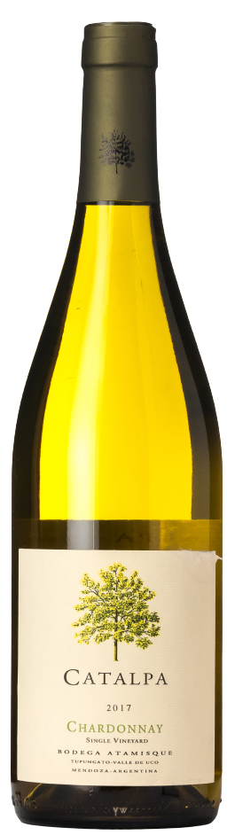 Catalpa Chardonnay 2019 - BODEGA ATAMISQUE