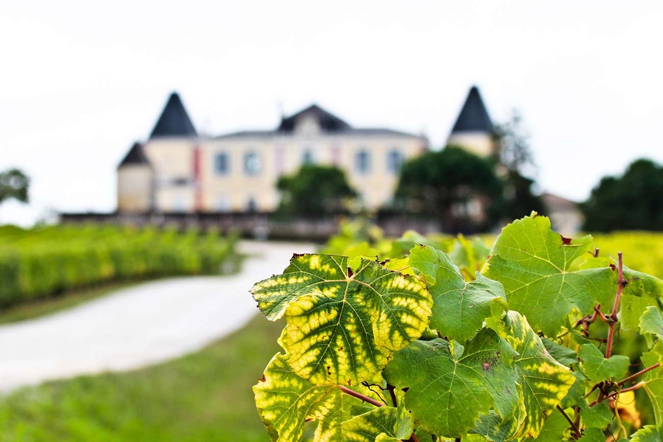 Château de France Blanc 2018 - PESSAC LÉOGNAN BLANC