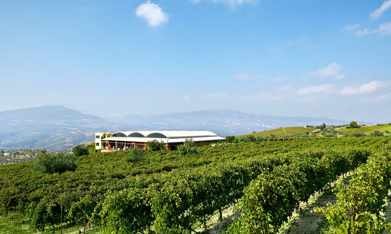Estate Nemea 2016 - GAIA