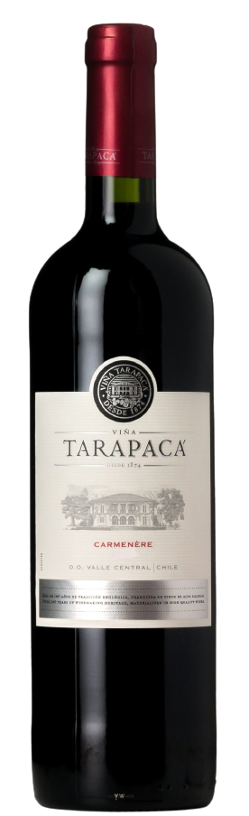 Carménère 2019 - VINA TARAPACA