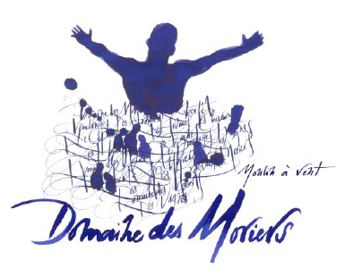 Beaujolais-Villages 2018 - DOMAINE DES MORIERS
