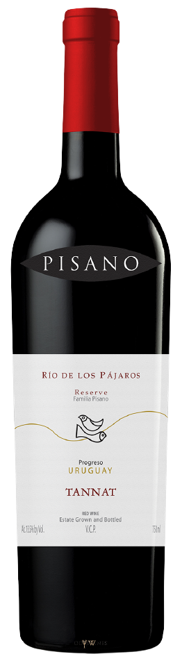 Rio de los Pajaros TSV 2016 - PISANO