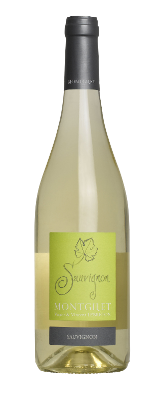 Sauvignon - DOMAINE MONTGILET - IGP Val de Loire