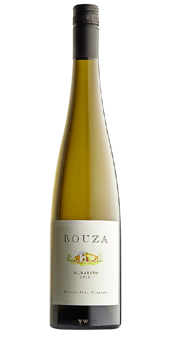 Albariño 2016 - BODEGA BOUZA