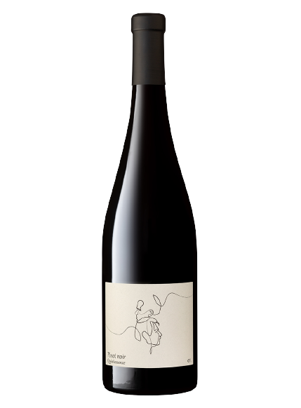 Pinot Noir Quintessence 2017 - MAISON CHARLES FREY - A.O.P Alsace