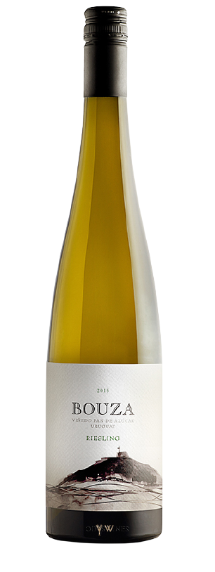 Riesling 2013 - BODEGA BOUZA