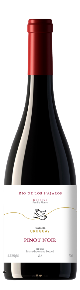 Rio de los Pajaros Pinot Noir 2017 - PISANO