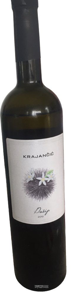 Posip Oursin 2019 - DOMAINE KRAJANCIC - Île de Korcula Dalmatie