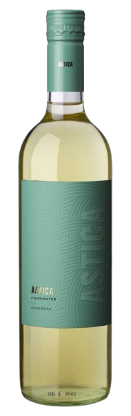 Astica Torrontes 2019 - BODEGA TRAPICHE