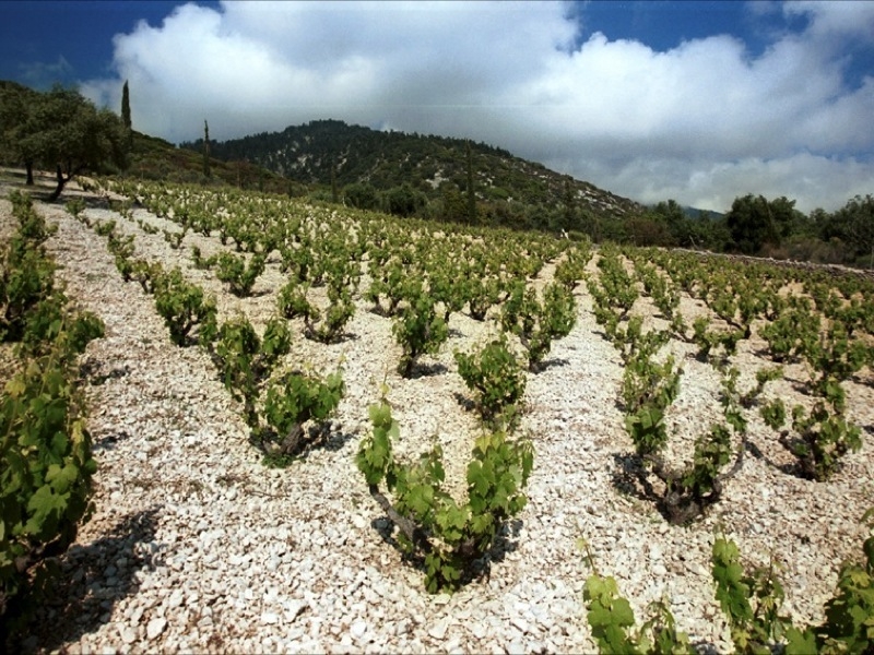 Coffret Sélection 3 bouteilles Domaine Foivos - Grèce - Kefalonia