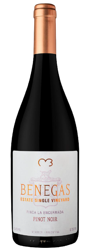 Pinot Noir Single Vineyard 2014 - BODEGA BENEGAS