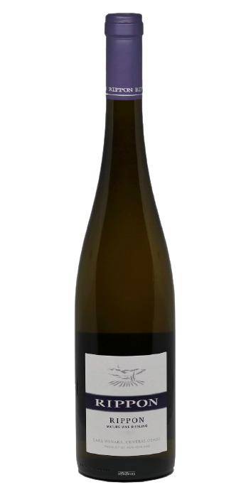 Riesling 2019 - RIPPON