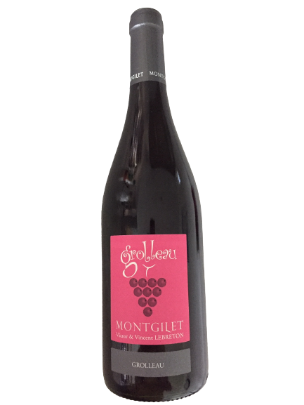 Grolleau - DOMAINE MONTGILET - Vin de France