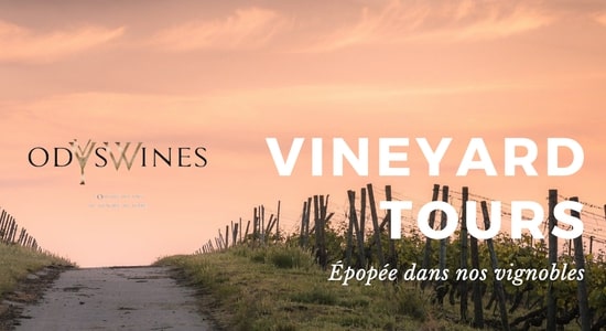 Odyswines - l'Odyssée des vins du vignoble au verre